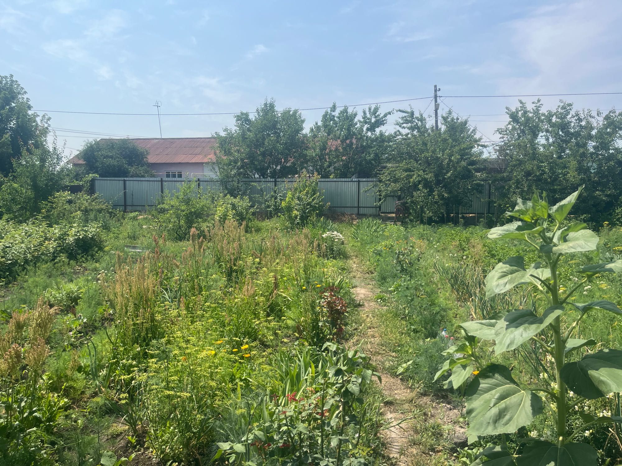 Продам. Варианты
