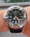 Citizen Ecozilla Promaster Divers Watch 300m BJ8050-08E