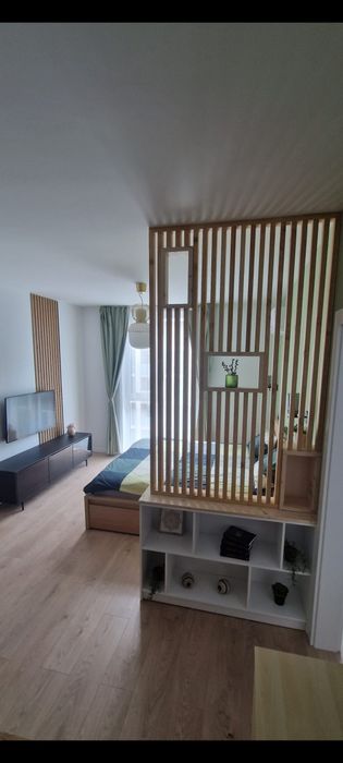 Ofer spre inchiriere apartament cu 1 camera,Campeador City.