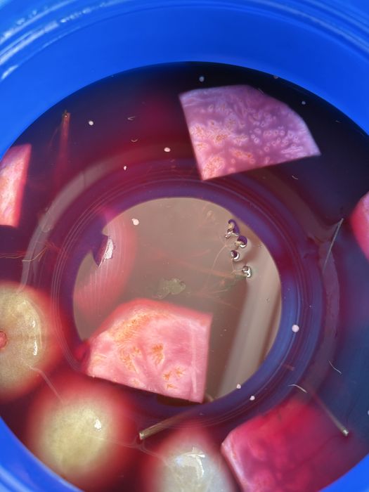 Muraturi asortate la butoi 10l