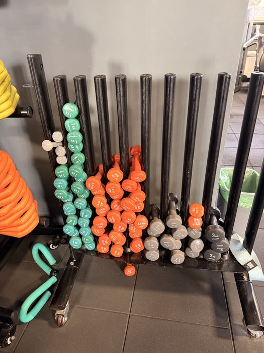 Suport pentru greutati + suport pentru discuri