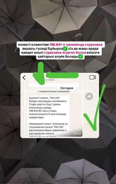 Арест,график,страховка,оптимизация