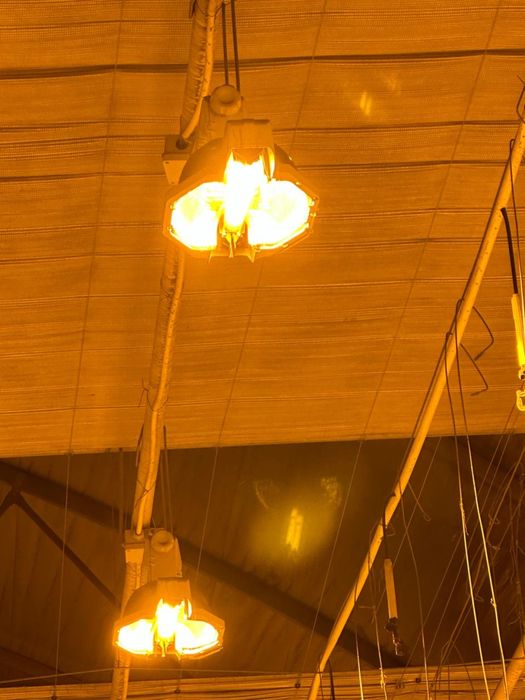 Лампы для теплицы (голландские)