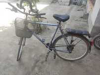 Velosapet german