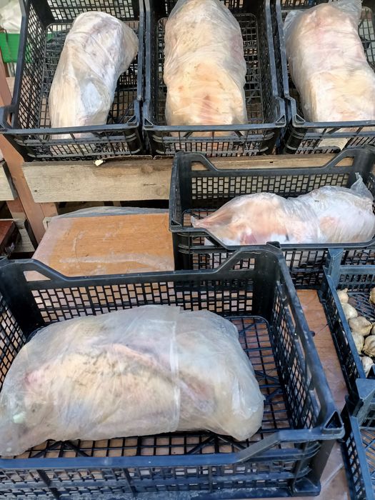 Продаю домашних гусей "Линда", 3500 ТГ за 1 кг.
Приглашаю к сотрудниче