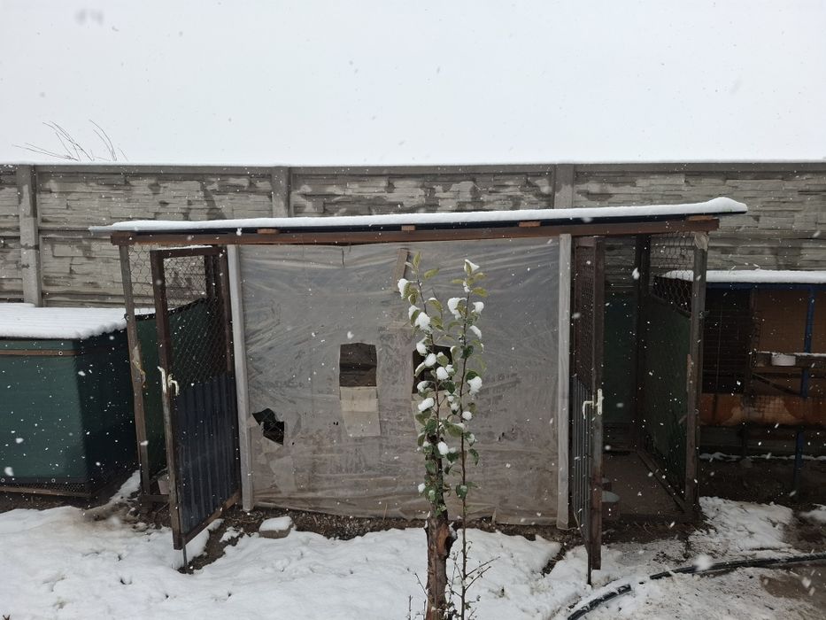 Вальер курятник загон