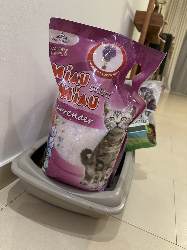 Ghiozdan/Geanta pisica si litiera+3 saci de nisip +mancare Cadou