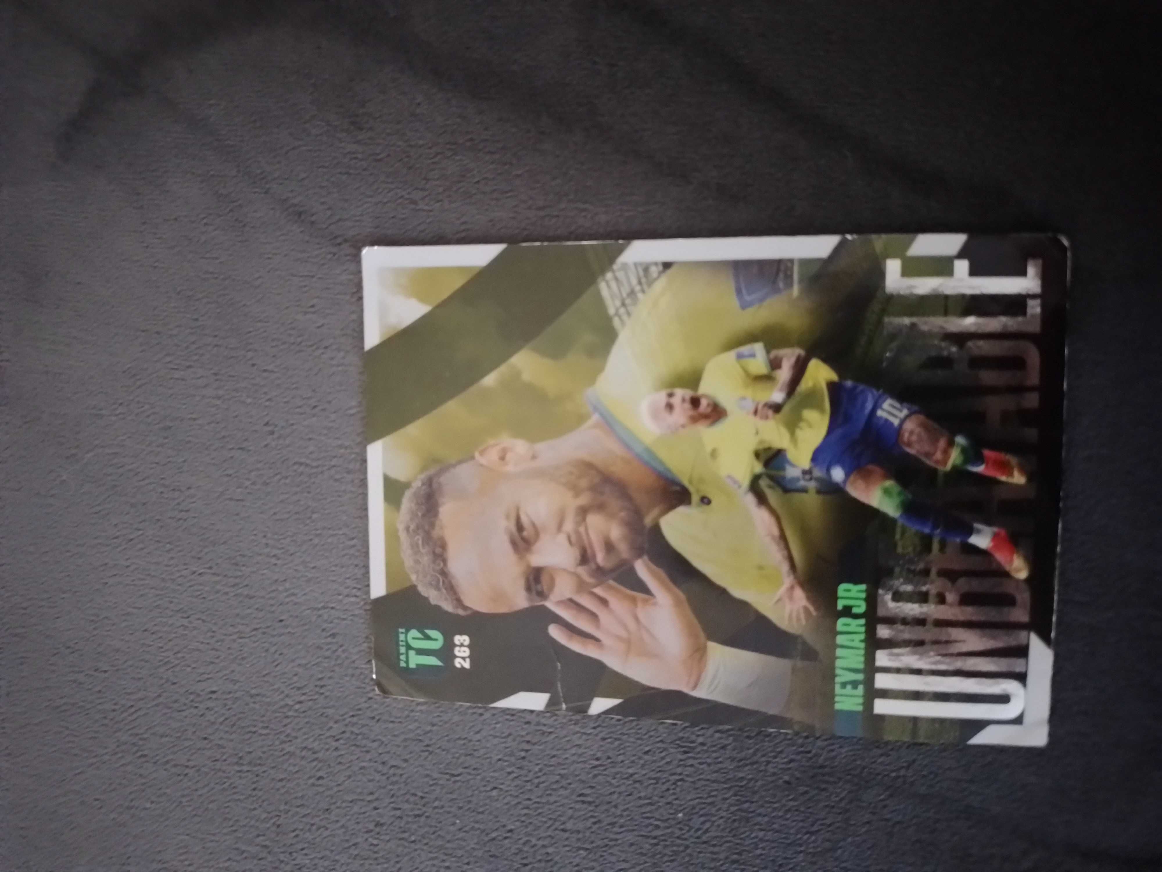 Panini cartonase de fotbal