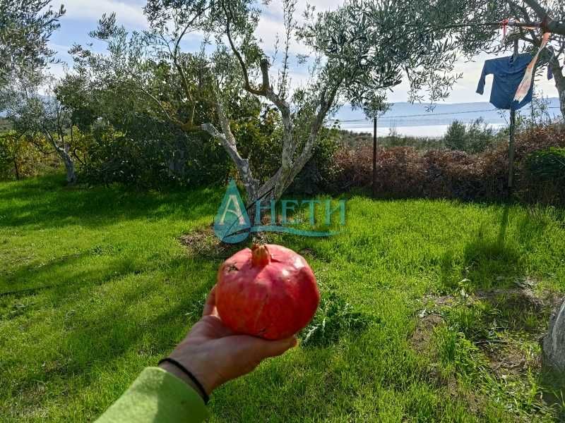 Парцел 1437м2 и75 маслинови дървета с.Волви, Аспровалта Гърция, с вода