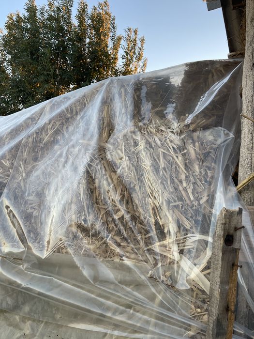 Baloti de fân,ovăz,coceni