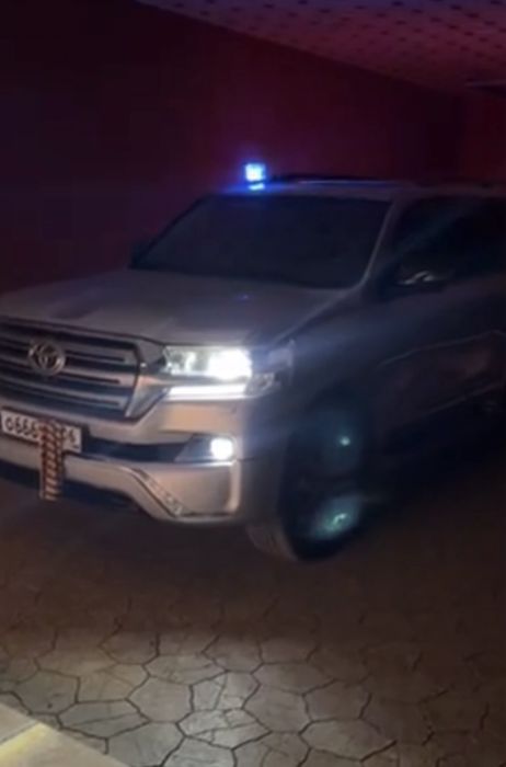 Мигалка томга(Российский)