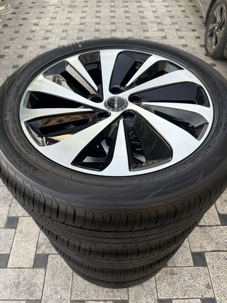 Byd chempion yengi diska baloni salondan ciqan yecilgan obmenam bor