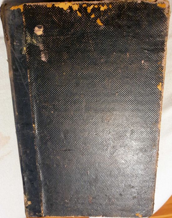 Rasboiul nostru pentru Neatirnare, de George Cosbuc , 1899