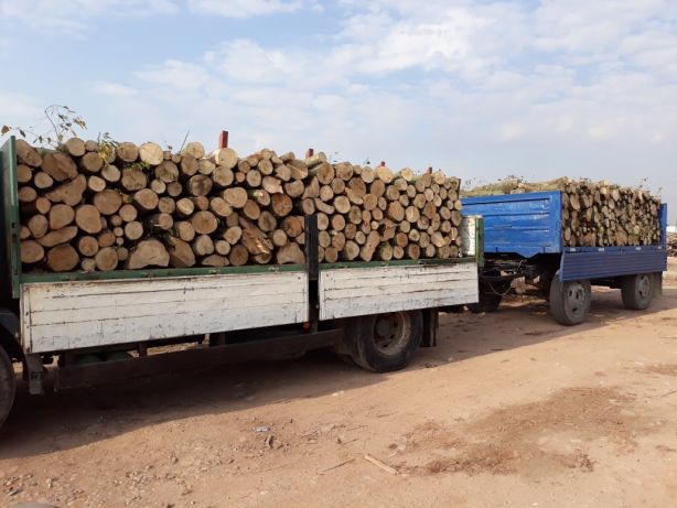 Vînd lemn de foc de calitate