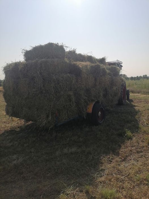 Baloti de lucerna coasa  a doua și  coasa a treia