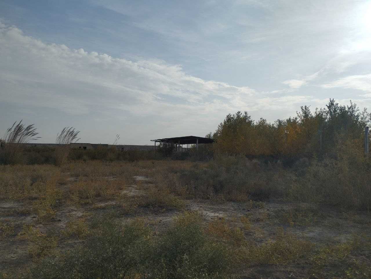 Xonqada molxona bino va inshootlar bolib tolash asosida sotilmoqda