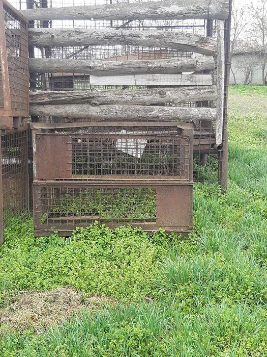 Custi din fier pentru iepuri sau porumb .