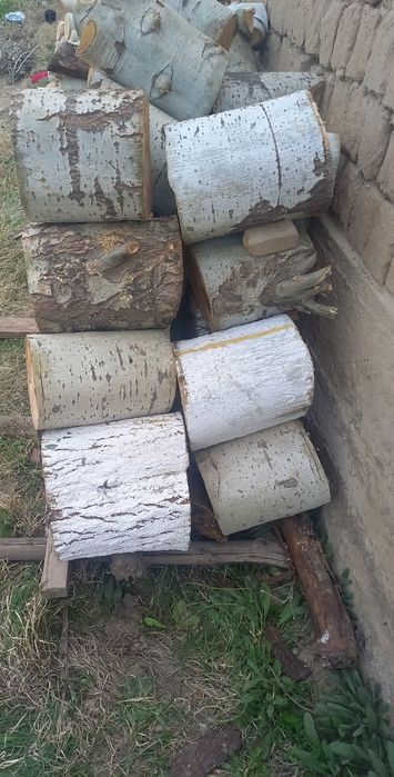 Ўтин сотилади. Кўк терак.