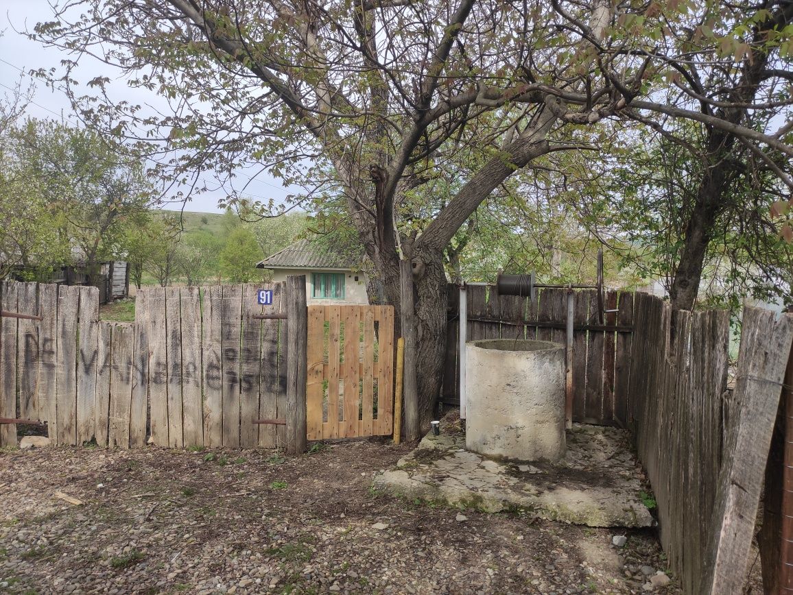 Vând teren și casa bătrânească