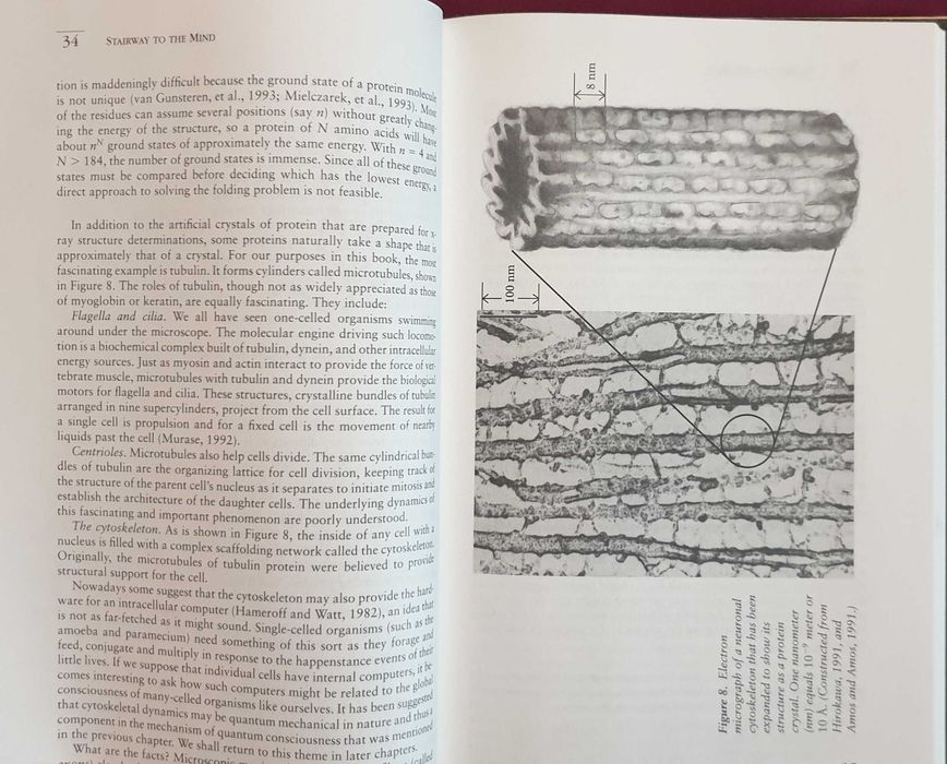 Stairway to the Mind. The Controversial New Science of Consciousness