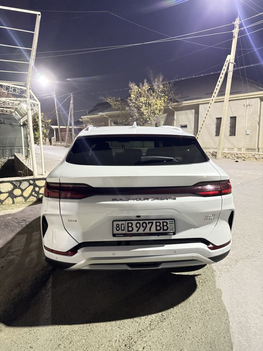 Bvd song plyus chempion