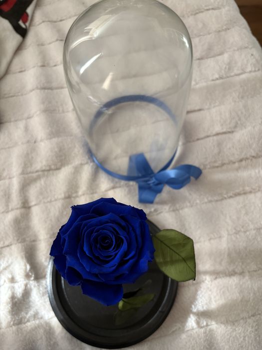 Trandafir criogenat albastru