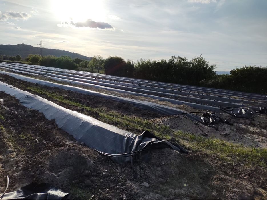 Utilaje/masini de bilonat si infoliat pentru inchiriat