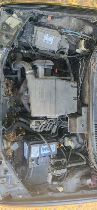 Fiat Punto - RADIATA