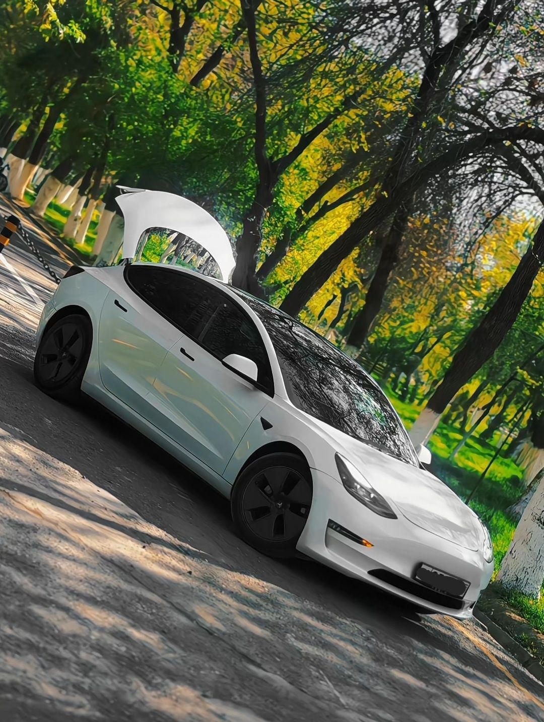 Tesla model 3 2022