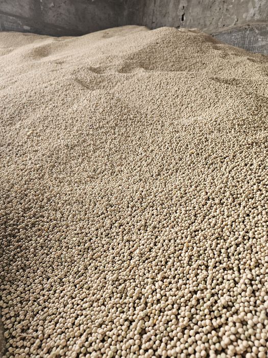 Porumb, mazare, orz, grâu, floarea-soarelui!