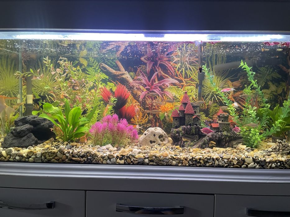 Acvariu cu capacitatea de 350L