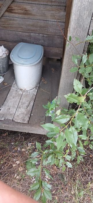 Продаю без торга. Дача на ромашке 8 км от маикудука. СОРТИРОВКА.