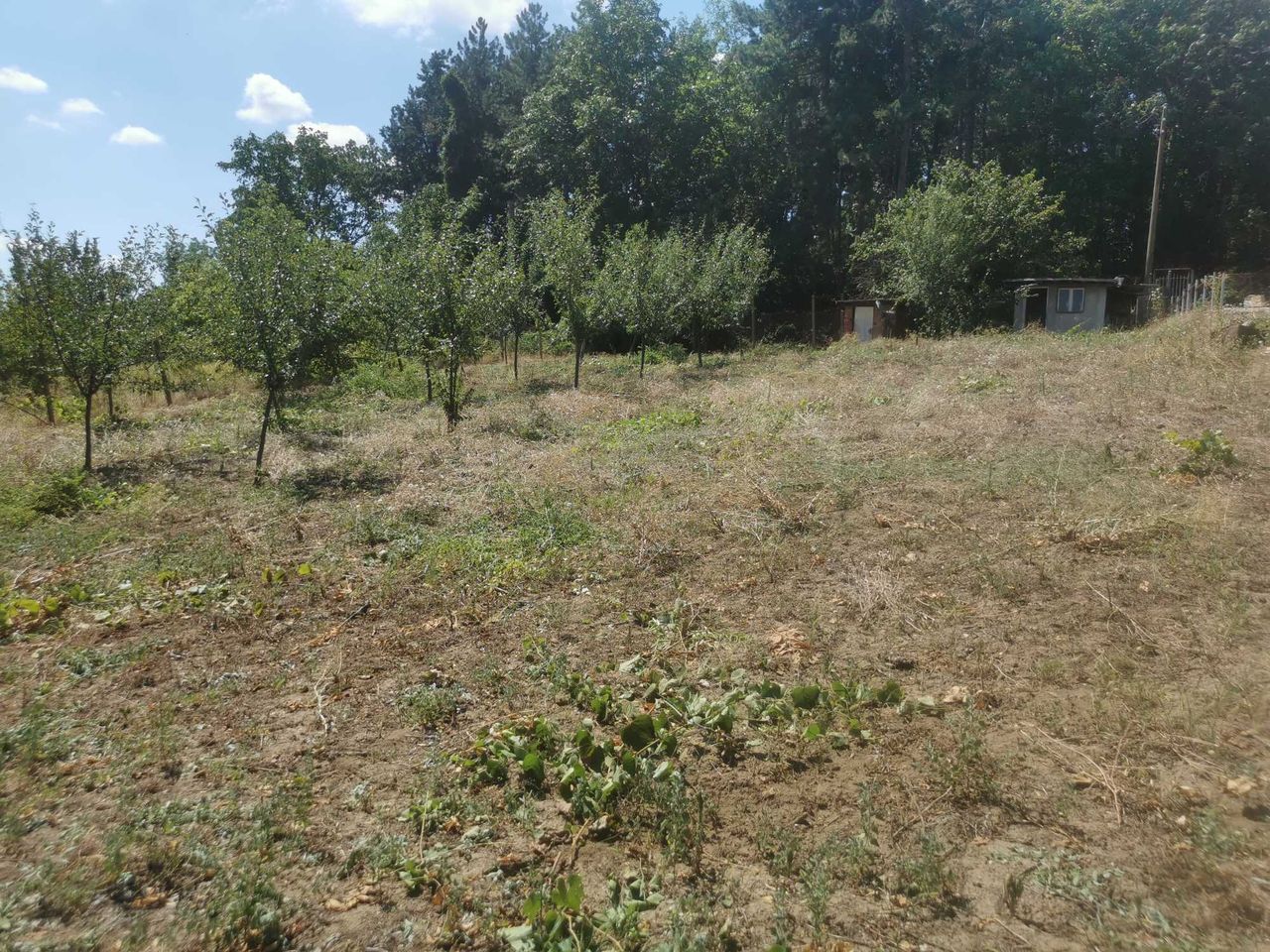 Продава се Парцел в Русе, Център - 980 кв.м за 18 €/кв.м - Снимка #5