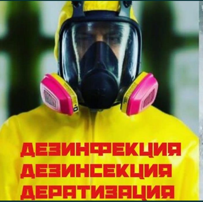 Дезинфекция дезинцекция дератизация
