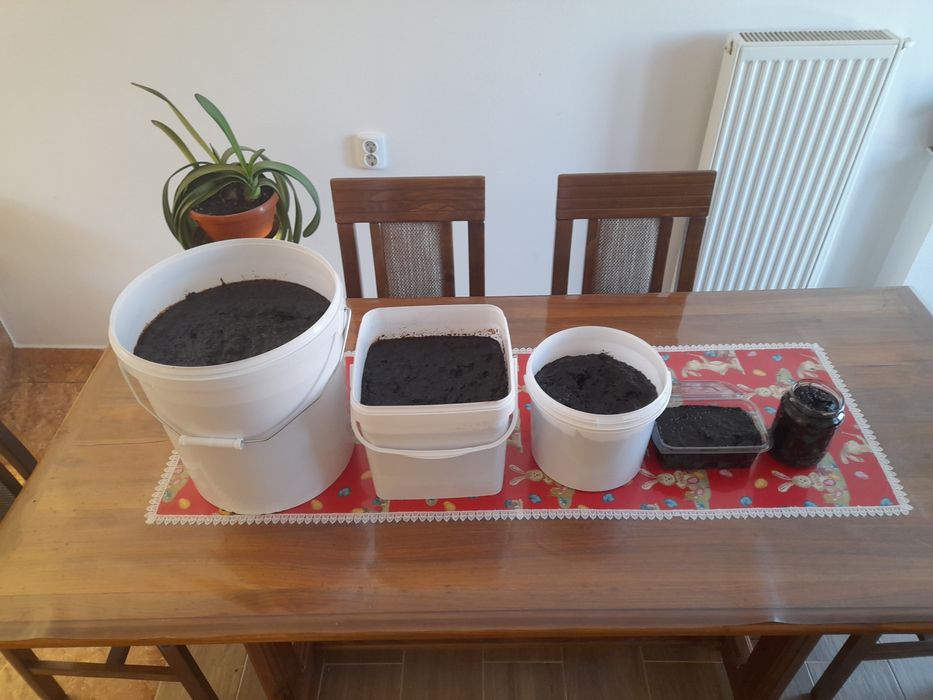 Vand magiun de prune