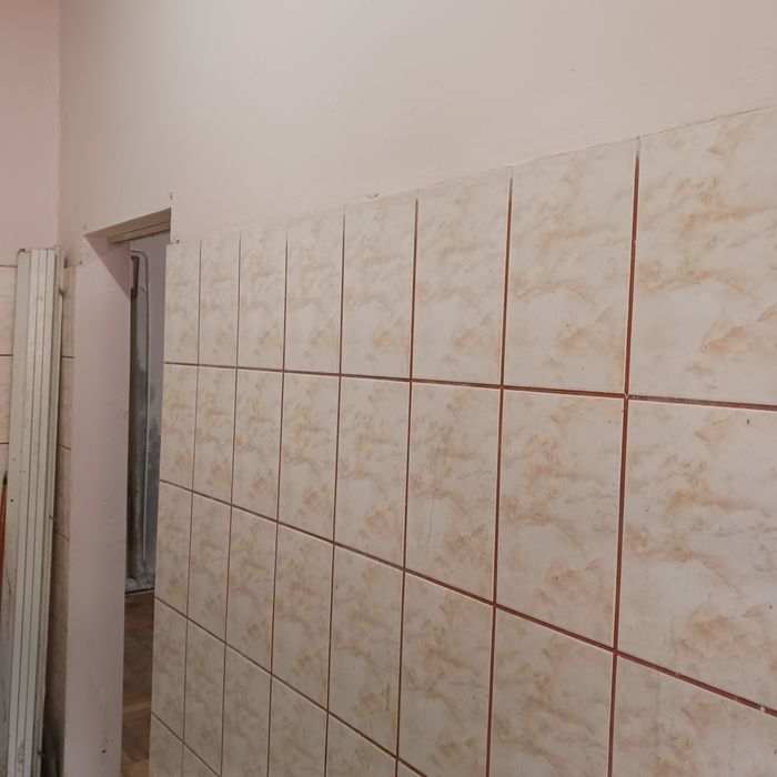 Apartament cu o cameră  central