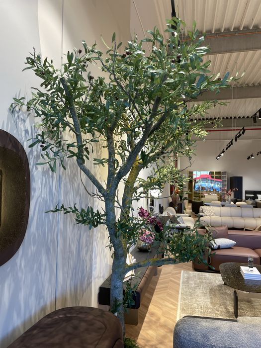 Decor ,copac ornamental trunchi natural