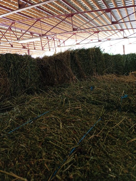 Baloții din lucernă