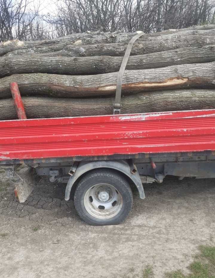 Vând lemne de foc, SPARTE si ÎNTREGI