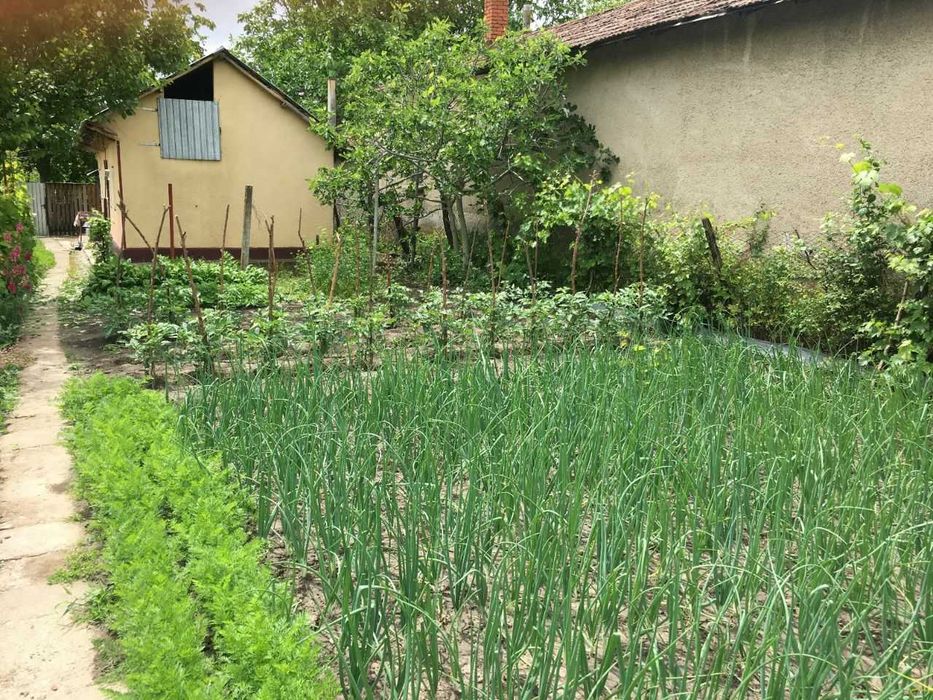 Casă de vânzare la cheie – Comuna Traian, Jud. Teleorman