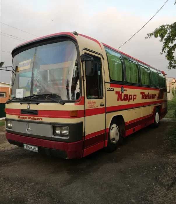 Аренда автобуса/автобусов, пассажирские перевозки, автобус на заказ