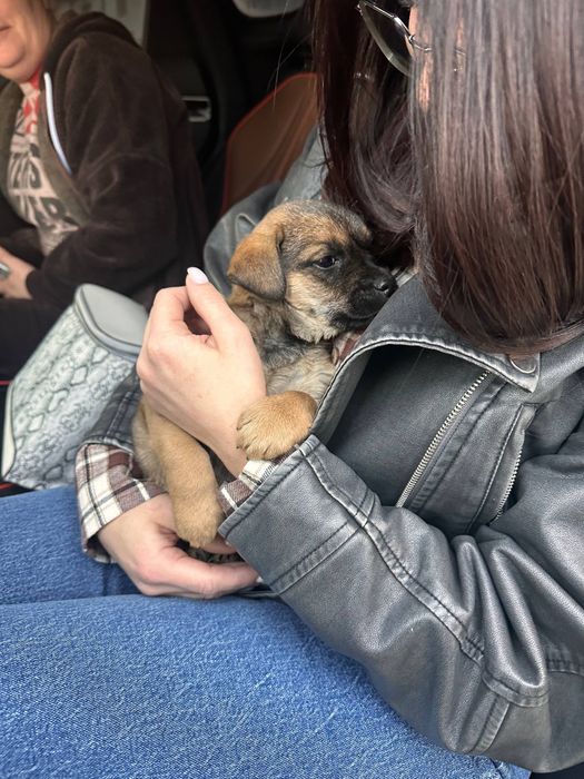 Ищем любящую семью