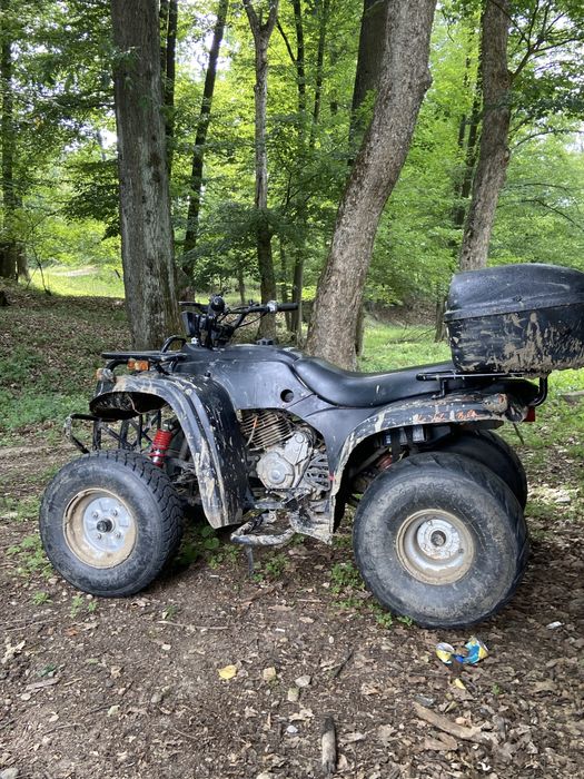 Atv adly 300 hercules