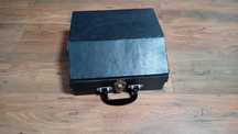 Acordeon rusesc verde