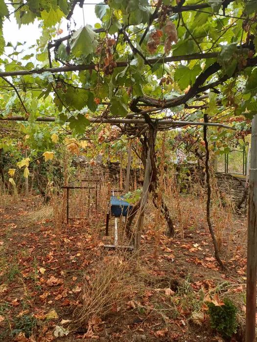 Продава се Къща в Враца, Река Лева - 100 кв.м за 612 €/кв.м - Снимка #11