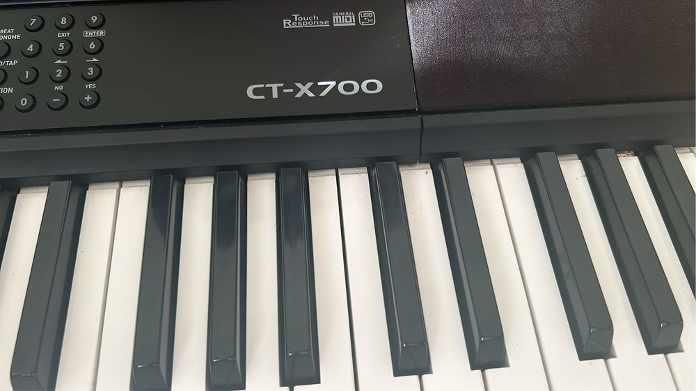 Orga Casio CTX-700