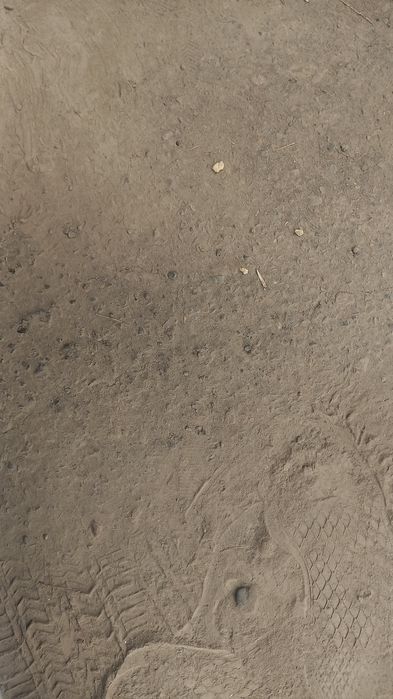 2106 jogarrang  xolati yaxshi 1989 yi