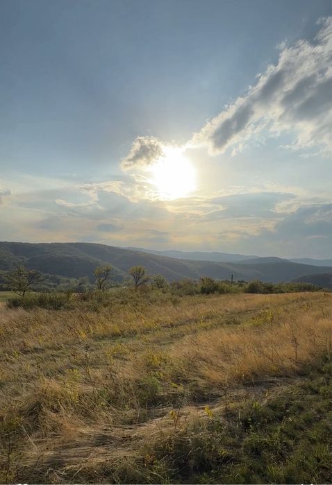 Vand teren intravilan in satul Cozia