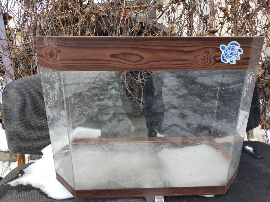 Аквариум большой