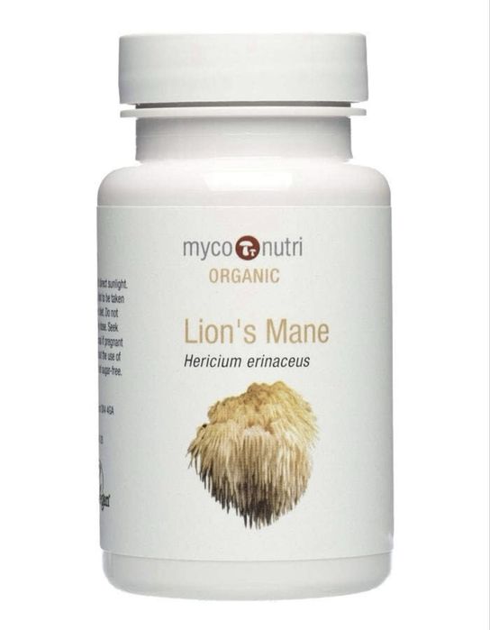 Ежовик гребенчатый, красный в наличии